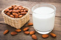 EXTRA - LECHE DE ALMENDRA